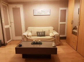 Nice studio in Paris suburbs